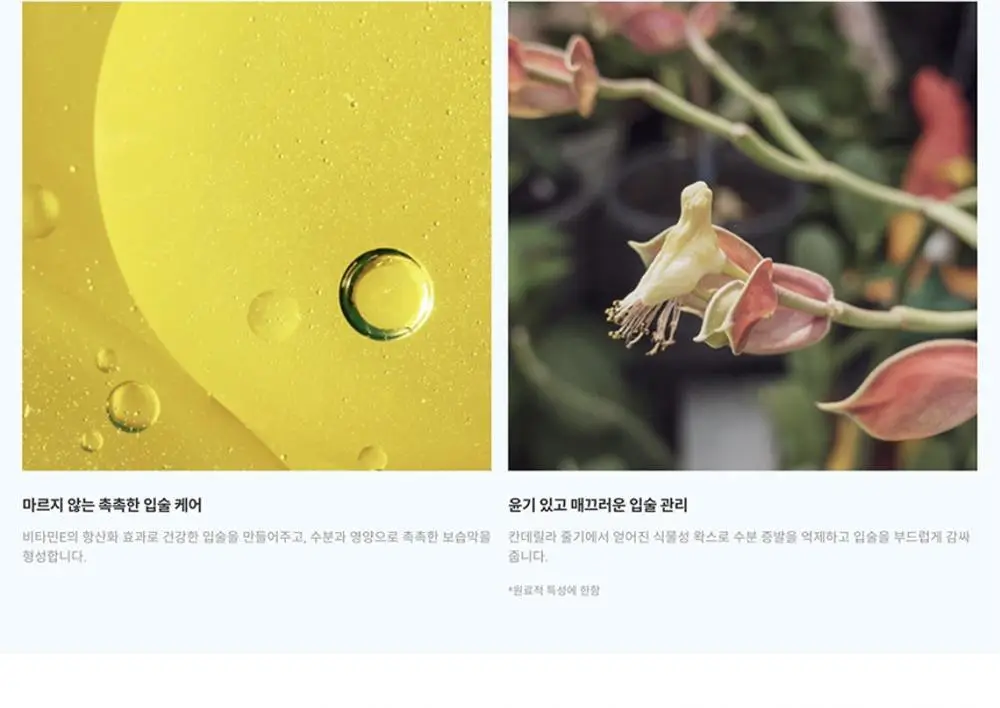 [올영단독/립밤1위] 낫포유 키스밤 포맨 더블기획 (1+1) 상세페이지 27